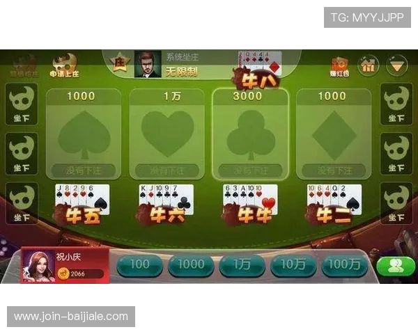 深入介绍百家乐基本规则与常见玩法策略提升你的游戏胜率